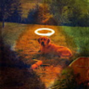 Meet your Posher, Glenna